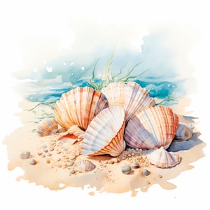 Sea Shell Clipart PNG, paquete 10 JPG de alta calidad, conchas de acuarela, pegatina, descarga digital, fabricación de tarjetas, medios mixtos, artesanía de papel digital / 353