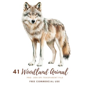 Aquarel bos dieren clipart | Bundel 41: hoge kwaliteit png-bestand | Wolf eekhoorn vogel afdrukbare stickers Goodnotes | Digitale download | 831