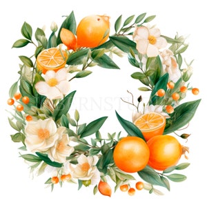 Pacchetto di clipart Orange Garland 30 PNG di alta qualità, bordo di frutta acquerello, ghirlanda di fiori arancione, download digitale, artigianato in carta digitale/ 421