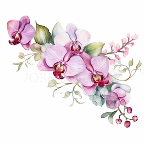 Peut inclure: Une peinture à l'aquarelle d'un bouquet d'orchidées roses avec des feuilles vertes et de petites fleurs roses. Les orchidées sont disposées en grappe, les fleurs étant tournées vers l'extérieur. La peinture est réalisée dans un style réaliste, avec des détails délicats.