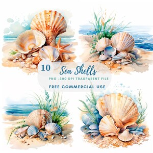 Sea Shell Clipart PNG, paquete 10 JPG de alta calidad, conchas de acuarela, pegatina, descarga digital, fabricación de tarjetas, medios mixtos, artesanía de papel digital / 353