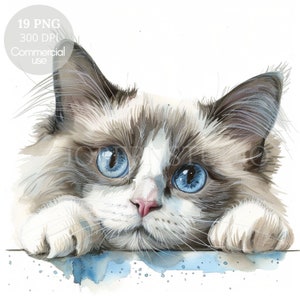 Lot de 19 cliparts aquarelle chats drôles PNG haute qualité, chats mignons fous, autocollants imprimables, Goodnotes, téléchargement numérique, papier numérique | 513