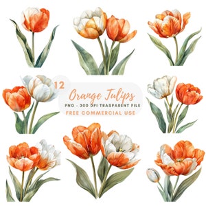 Tulips Flower Clipart Bundle 12 High Quality PNG, Watercolor Orange Floral Border, Digital Download,Card Making,Digital Paper Craft| 225