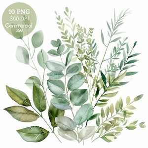 Paquete de 10 imágenes prediseñadas de ramo de hojas verdes de alta calidad PNG, acuarela floral, pegatinas, descarga digital, creación de tarjetas, manualidades de papel digitales/ 409