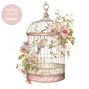 Cage et oiseau, cliparts PNG, 11 images PNG de haute qualité | Oiseau floral aquarelle | Stickers imprimables Goodnotes | Téléchargement numérique | 824