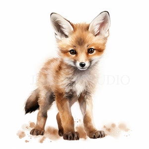 Bébé renard Clipart PNG, lot de 11 PNG haute qualité, aquarelle renard en téléchargement numérique, autocollants imprimables, fabrication de cartes, création numérique en papier | 436