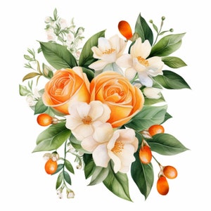 Pacchetto di clipart ghirlanda ramo rosa arancione 10 alta qualità, bordo fiore acquerello, download digitale, creazione di carte, artigianato in carta digitale/ 196