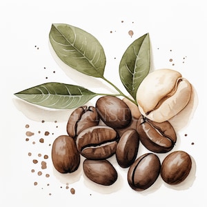 Clipart PNG di chicchi di caffè, bundle 15 alta qualità, download digitale acquerello caffè latte, creazione di carte, artigianato in carta digitale, adesivo/134