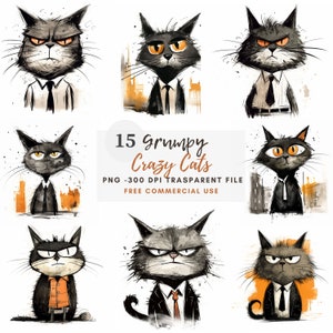 Crazy Cat Clipart PNG Bundle 15 hochwertige JPG, lustige mürrische schwarze Katzen, digitaler Download, Kartenherstellung, Mixed Media, Digital Paper Craft | 126