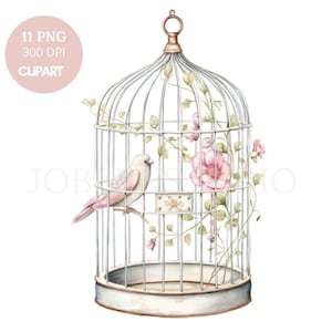 Cage et oiseau, cliparts PNG, 11 images PNG de haute qualité | Oiseau floral aquarelle | Stickers imprimables Goodnotes | Téléchargement numérique | 824