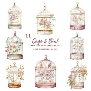 Cage et oiseau, cliparts PNG, 11 images PNG de haute qualité | Oiseau floral aquarelle | Stickers imprimables Goodnotes | Téléchargement numérique | 824