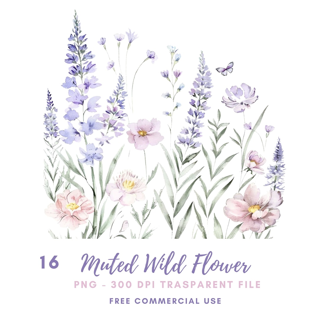 Muted Wild Flower Border Clipart Bundle 16 High Quality Png,watercolor ...