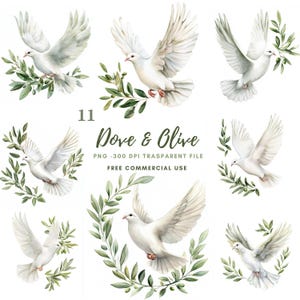 May include: Watercolor illustrations of white doves with outstretched wings, accented with olive branches. The image includes the text "Dove & Olive" and "Free Commercial Use". The doves are depicted in various poses, some holding olive branches.