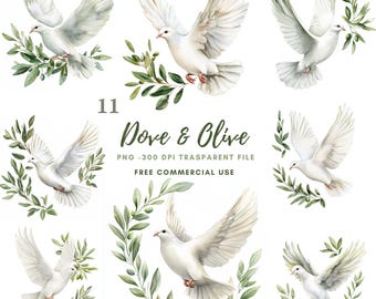 Dove and Olive Clipart Bundle 11 High Quality PNG | Watercolor White Dove Pace | Printable Stickers Goodnotes| | Digital Download | 851
