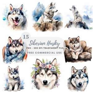 Siberian Husky bébé chien Clipart PNG Bundle 15 haute qualité, téléchargement numérique, autocollants imprimables, fabrication de cartes, techniques mixtes, créations en papier | 428