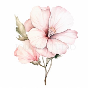 Pacchetto clipart fiore rosa 15 PNG di alta qualità, fiore rosa acquerello, adesivi, download digitale, creazione di carte, artigianato in carta digitale/ 321