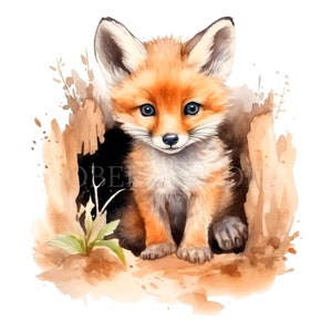 Bébé renard dans la tanière Clipart PNG, lot de 15 JPG haute qualité, téléchargement numérique, autocollants, fabrication de cartes, techniques mixtes, créations numériques en papier | 78