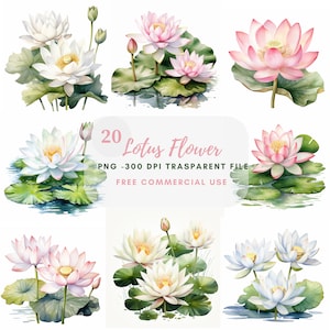 Pacchetto clipart fiore di loto 20 alta qualità, acquerello acqua floreale, adesivi digitali, download digitale, creazione di cartoline, artigianato con carta digitale/163
