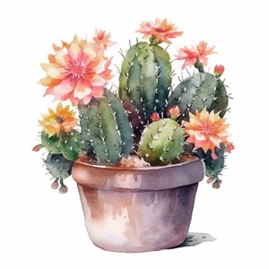 Cactusplanten clipartbundel 12 hoge kwaliteit png, aquarel vetplant, digitale stickers, kaarten maken, digitaal papier ambacht|346