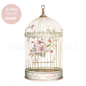 Cage et oiseau, cliparts PNG, 11 images PNG de haute qualité | Oiseau floral aquarelle | Stickers imprimables Goodnotes | Téléchargement numérique | 824