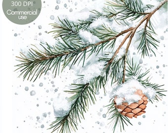 May include: A watercolor painting of a pine branch with snow on it. The branch has a brown pine cone on it. The background is white with gray dots.