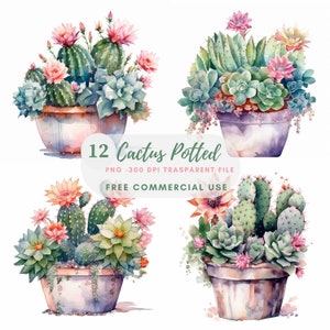 Cactus planten clipart bundel 12 hoge kwaliteit PNG, aquarel vetplant, digitale stickers, kaart maken, digitale papier ambachtelijke | 346