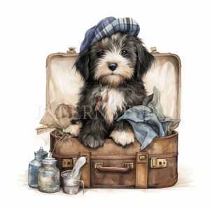 Crazy Dog Clipart PNG Bundle 15 JPG de alta calidad, perros de viaje divertidos, descarga digital, fabricación de tarjetas, medios mixtos, artesanía de papel digital / 125