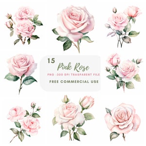 Rosa Rose Zweig Clipart Bundle 15 hochwertige PNG, Aquarell Rose Blume, digitaler Download, Kartenherstellung, digitales Papier Handwerk | 323