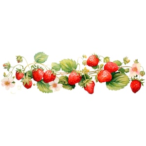 May include: A watercolour illustration of a strawberry vine, featuring bright red berries, green leaves, and small white flowers. The image is set against a white background, emphasizing the natural colours. A botanical theme.