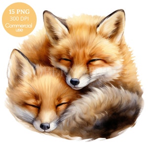 Renard Clipart PNG, lot de 15 PNG haute qualité, renard aquarelle en téléchargement numérique, autocollants imprimables, fabrication de cartes, création numérique en papier | 452