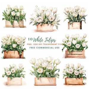 Pacchetto di clipart di fiori di tulipani 10 PNG di alta qualità, scatola floreale bianca acquerello, adesivi, download digitale, creazione di carte, artigianato in carta digitale/221