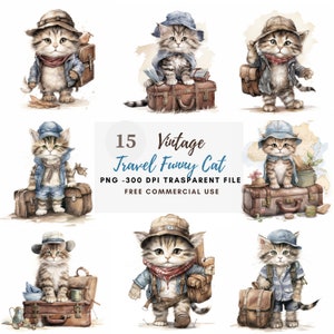 Crazy Cats Clipart PNG Bundle 15 High Quality JPG,Funny Grumpy Black Cats,Digital Download,Card Making,Mixed Media,Digital Paper Craft| 123