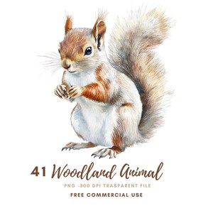 Aquarel bos dieren clipart | Bundel 41: hoge kwaliteit png-bestand | Wolf eekhoorn vogel afdrukbare stickers Goodnotes | Digitale download | 831