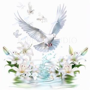Dove and Lily Clipart Bundle 12 High Quality PNG,Watercolor Holy Spirit,Printable Sticker,Digital Download,Card Making,Mixed Media| 395