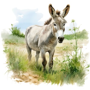 Donkey Meadow Clipart PNG, Bundle 12 JPG di alta qualità, Download digitale, Adesivi, Creazione di carte, Supporti misti, Mestiere di carta digitale/ 84