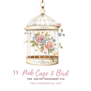 Kooi en vogel clipart png bundel 11 hoge kwaliteit png | Aquarel bloemen vogel | Afdrukbare stickers Goodnotes | Digitale download | 824