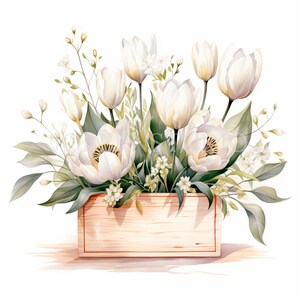 Tulips Flower Clipart Bundle 10 High Quality PNG,Watercolor White Floral box, Stickers,Digital Download,Card Making,Digital Paper Craft|221
