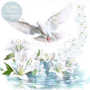 Dove and Lily Clipart Bundle 12 High Quality PNG,Watercolor Holy Spirit,Printable Sticker,Digital Download,Card Making,Mixed Media| 395