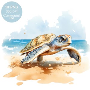 Meeresschildkröte Clipart, Bundle 10 hochwertige PNG, digitaler Download, druckbare Aufkleber, Kartenherstellung, Mixed Media, digitales Papier Handwerk | 460