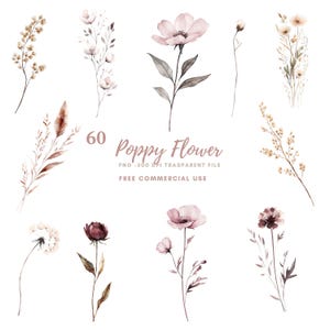 Pacote de Cliparts de Flores de Papoula Selvagem com 60 PNGs de Alta Qualidade | Aquarela Floral Bege Seco | Adesivos para Imprimir Goodnotes | Download Digital | 806
