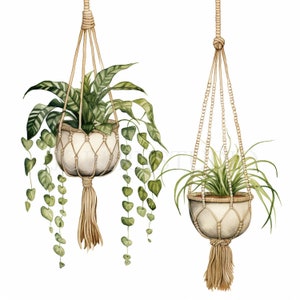 Pacchetto clipart piante sospese 10 PNG di alta qualità, decorazioni per la casa floreali ad acquerello, adesivi, download digitale, creazione di cartoline, creazioni in carta digitale/181