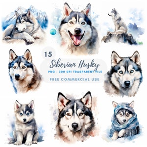 Siberian Husky bébé chien Clipart PNG Bundle 15 haute qualité, téléchargement numérique, autocollants imprimables, fabrication de cartes, techniques mixtes, créations en papier | 428