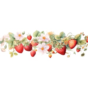 May include: A watercolour illustration of a strawberry vine, featuring vibrant red strawberries, delicate white flowers with yellow centres, and lush green leaves. The design has a white background and a botanical theme.