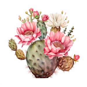 Lot de 10 cliparts cactus rose haute qualité JPG, décoration d'intérieur aquarelle, autocollant imprimable, téléchargement numérique, fabrication de cartes, créations artisanales en papier numérique | 345