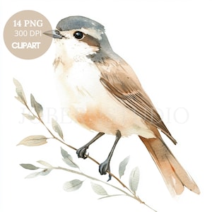鳥のクリップアートPNGバンドル14高品質PNG | 水彩ニュートラルカラースズメ | 印刷可能なステッカーGoodnotes | デジタルダウンロード | 828