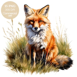 Renard Clipart PNG, lot de 15 PNG haute qualité, renard aquarelle en téléchargement numérique, autocollants imprimables, fabrication de cartes, création numérique en papier | 452