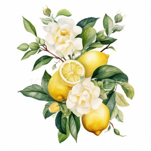 Pacchetto di clipart ghirlanda ramo rosa limone 10 alta qualità, bordo fiore acquerello, download digitale, creazione di carte, artigianato in carta digitale/ 197