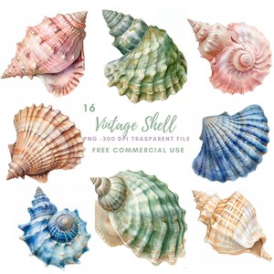 Sea Shell Clipart PNG, paquete 16 JPG de alta calidad, acuarela Vintage Shell, descarga digital, fabricación de tarjetas, medios mixtos, artesanía de papel digital / 294