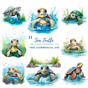 May include: A set of 11 digital illustrations of sea turtles in various poses. The turtles are depicted in a watercolor style with vibrant colors and realistic details. The illustrations are perfect for use in digital scrapbooking, card making, and other creative projects.