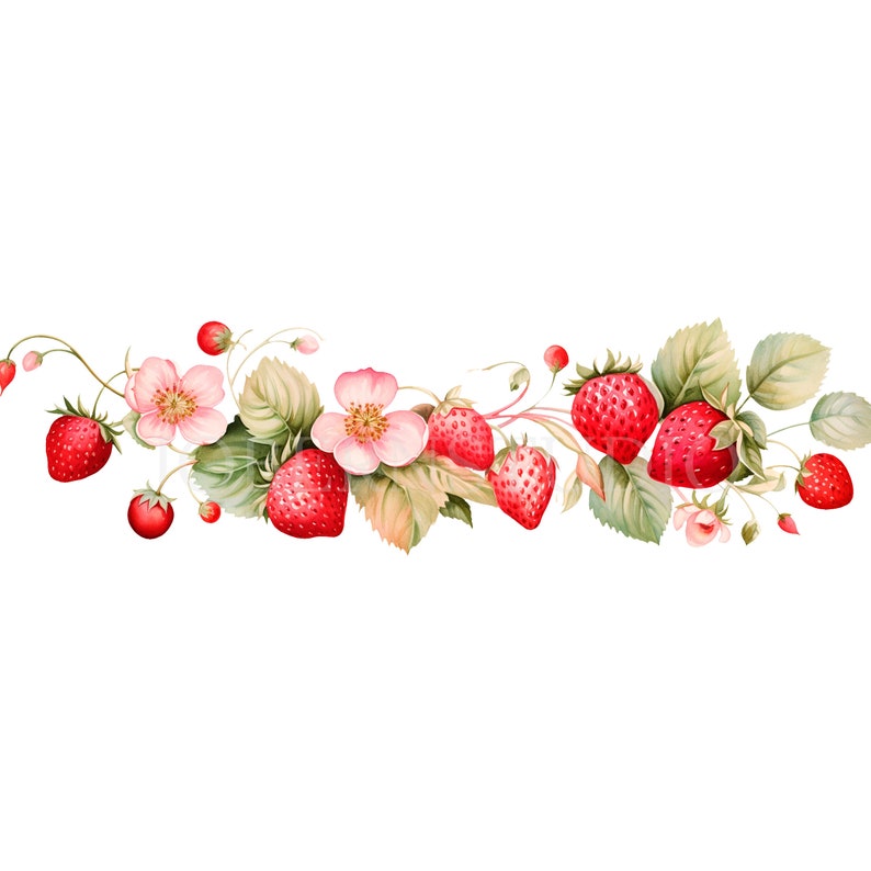 May include: A watercolour illustration of a strawberry vine featuring bright red strawberries, soft pink flowers, and green leaves. The design is set against a white backdrop, creating a fresh and vibrant aesthetic. Suitable for spring and summer themes.